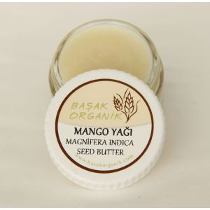 BAAK ORGANK MANGO YAI (MANGFERA NDCA)