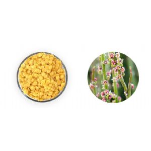 50 gr.KANDELLA MUM
