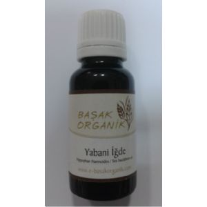 BAAK ORGANK YABAN DE YAI (HPOPPHAE RHAMNODES)